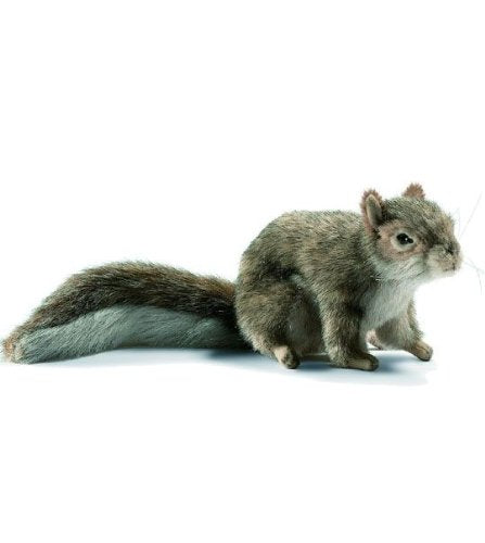 SQUIRREL GRAY SITTING9"L