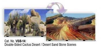 Double-Sided Desert Sand Stone - Cactus Desert 19 inches x 50 Feet