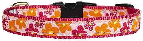 Up Country - Flower Power Dog Collar - X-Small