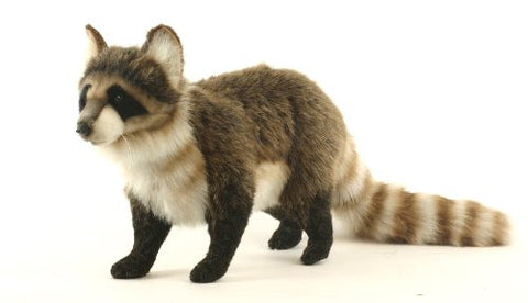 RACOON STANDING 18''L