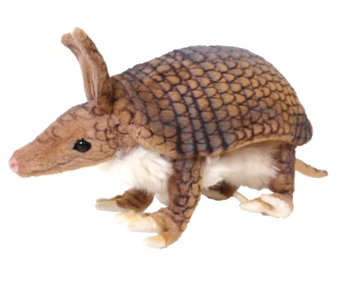 ARMADILLO 10''L