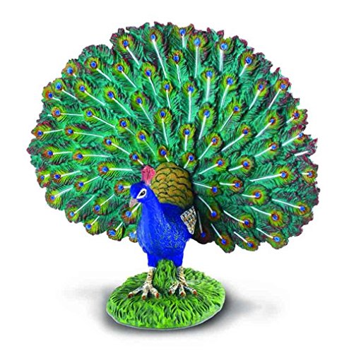 Wild Life - Peacock