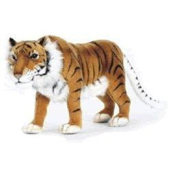 TIGER CASPIAN 12''L (ARK)