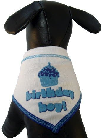 Birthday Boy Scarf - White, L