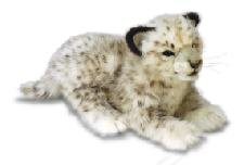 SNOW LEOPARD LAYNG 14''L