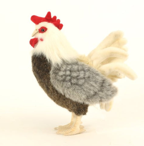 ROOSTER BANTAM 11''