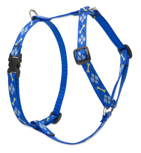 Lupine 1/2" Originals Collection - Dapper Dog, 9"-14" Roman Harness