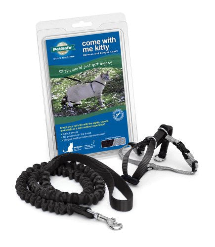 COME WITH ME KITTY HARNESS & BUNGEE LEASH, BLACK MEDIUM