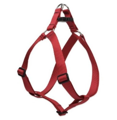 Lupine 1" Basics Collection - Red, 24"-38" Step-In Harness