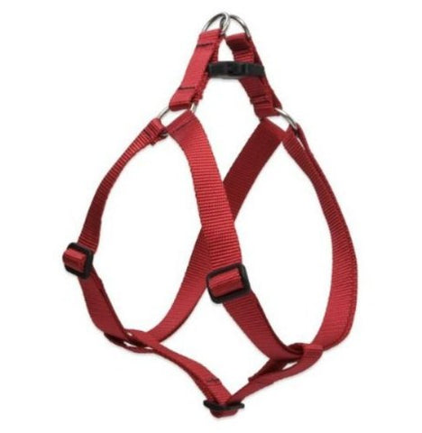 Lupine 1" Basics Collection - Red, 24"-38" Step-In Harness