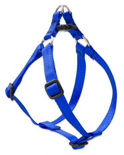 Lupine 1" Basics Collection - Blue, 24"-38" Step-In Harness