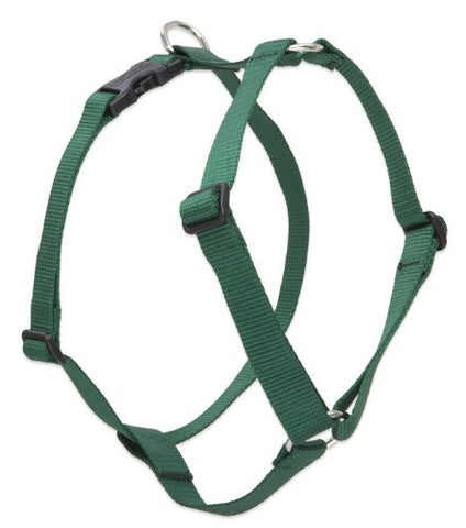 Lupine 1" Basics Collection - Green, 20"-32" Roman Harness