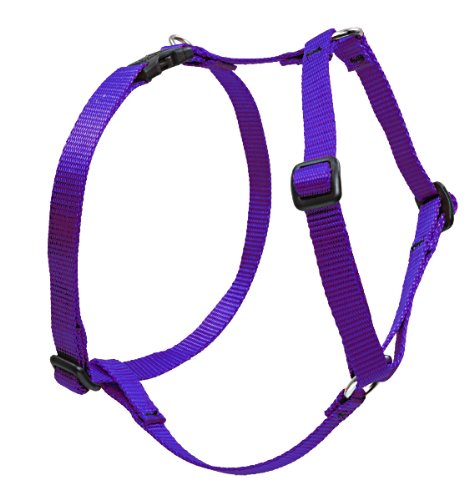 Lupine 3/4" Basics Collection - Purple, 20"-32" Roman Harness