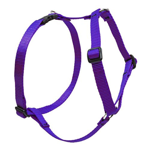 Lupine 3/4" Basics Collection - Purple, 20"-32" Roman Harness