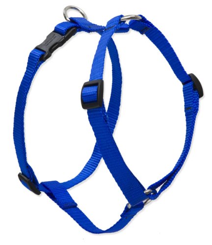 Lupine 3/4" Basics Collection - Blue, 20"-32" Roman Harness