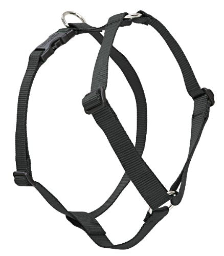 Lupine 3/4" Basics Collection - Black, 20"-32" Roman Harness