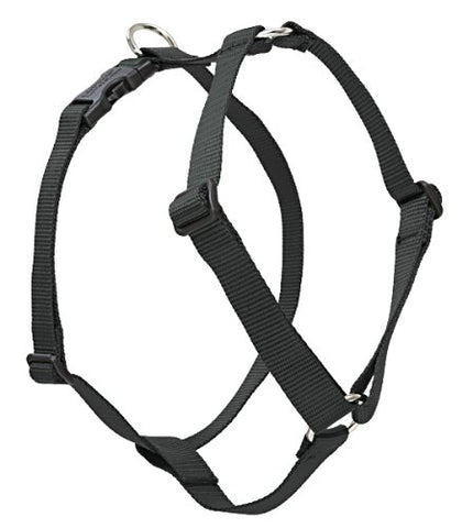 Lupine 3/4" Basics Collection - Black, 20"-32" Roman Harness