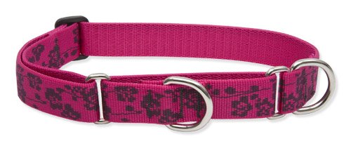 Lupine 1" Originals Collection - Plum Blossom, 15"-22" Combo Collar