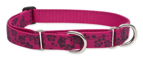 Lupine 1" Originals Collection - Plum Blossom, 15"-22" Combo Collar