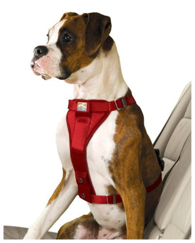 Enhanced Strength Tru-Fit Smart Harness with Seatbelt Tether - Red, Large