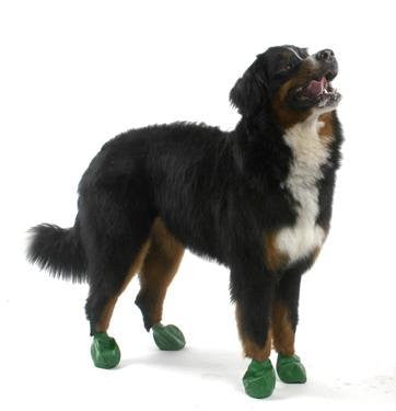PawZ Dog Boots - Green, X-Large