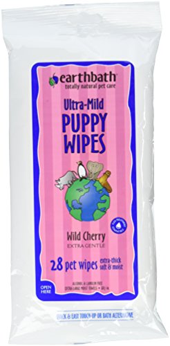 Earthwhile Endeavors Travel Pack Grooming Wipe Puppies/Dogs 28ct (not in pricelist)