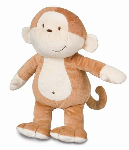 Healthy Baby Monkey