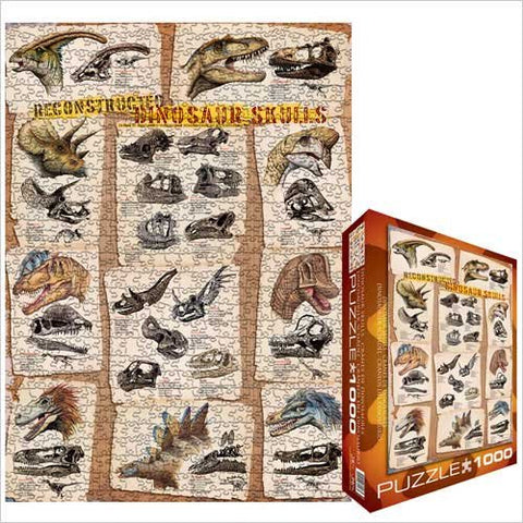 Reconstructed Dinosaur Skulls 1000 pc