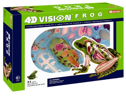 Frog Anatomy 4D