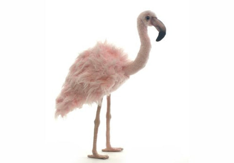 FLAMINGO 15''