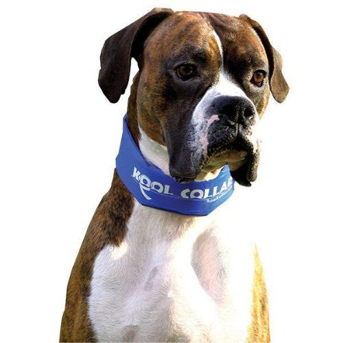 KoolCollar w/ KoolTube - Red - Large