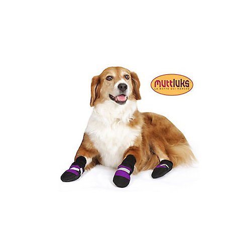 Muttluks Fleece Lined Dog Boots Set of 4 - Purple, Medium 3.25" to 3.75"