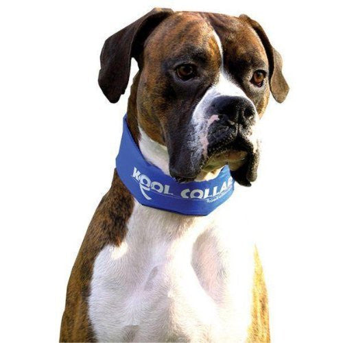 KoolCollar w/ KoolTube - Black - Small