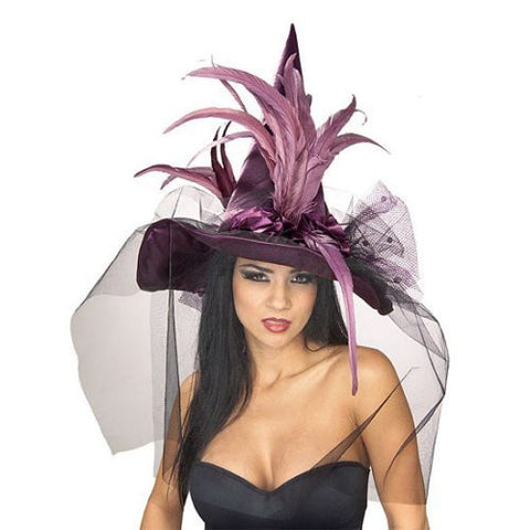 Purple Witch Hat w/Feather & Veil