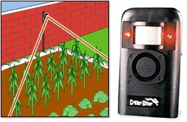 Critter Gitter (not in pricelist)