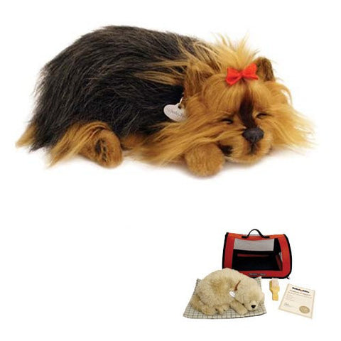 Yorkie