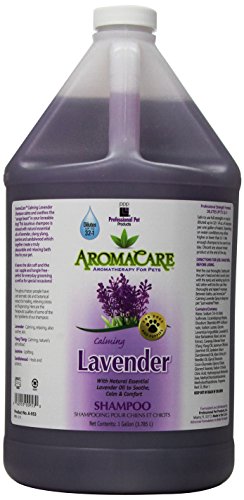 AromaCare Calming Lavender Shampoo, 1 Gallon