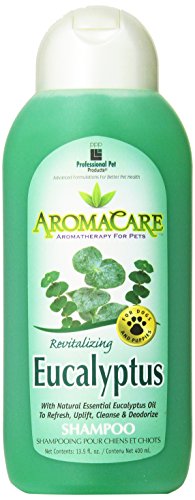 AromaCare Eucalyptus Shampoo, 13.5 oz