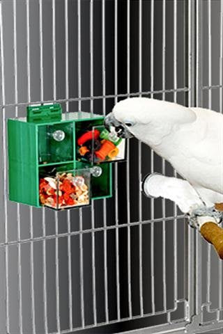 Paradise Four Big Drawers