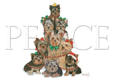 Yorkie Christmas Card 10 pcs.