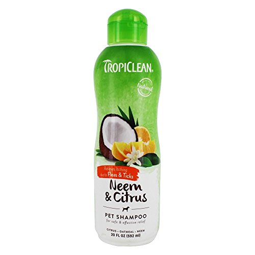 Tropiclean Neem Citrus Shampoo, 20 fl oz