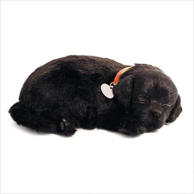 Perfect Petzzz Black Lab Puppy