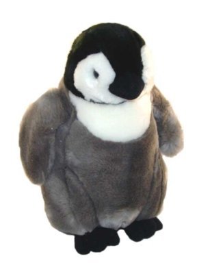 Emperor Penguin Chick