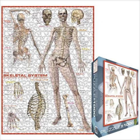 The Skeletal System 1000 pc 10x14 inches Box, Puzzle