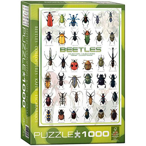 Beetles 1000 pc