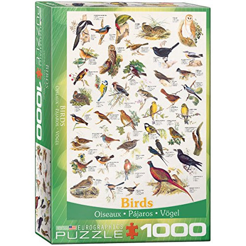 Birds 1000 pc 10x14 inches Box, Puzzle