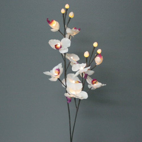 White Orchid 16 Light