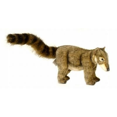 COATIMUNDI, BABY 12''L