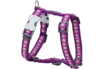 Daisy Chain Purple Dog Harness,Medium/Large