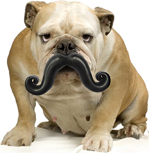 Moody Pet Humunga Stache - Large